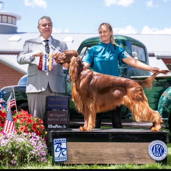 Meet your Posher, Brandice - Picture 3 of 3